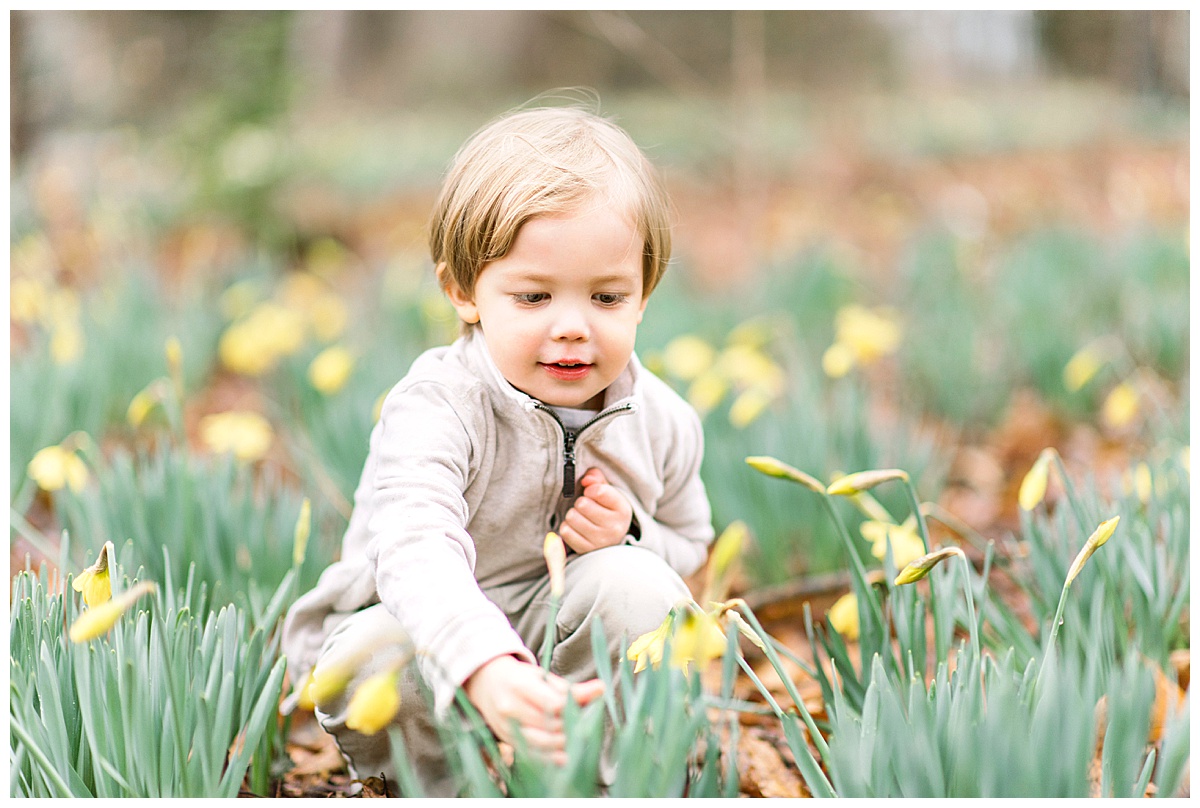 child crouching in the daffodils in springtime