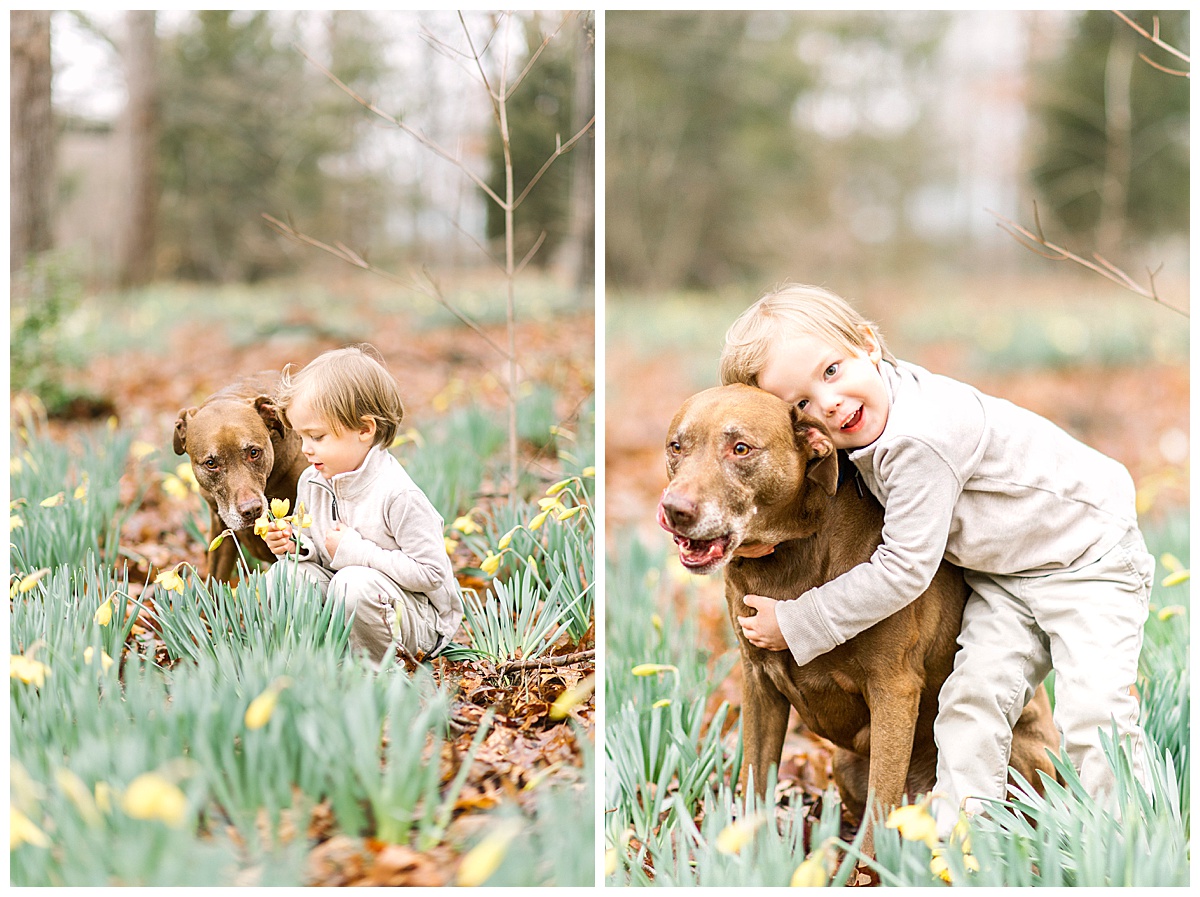 child with his dog in the daffodils in springtime