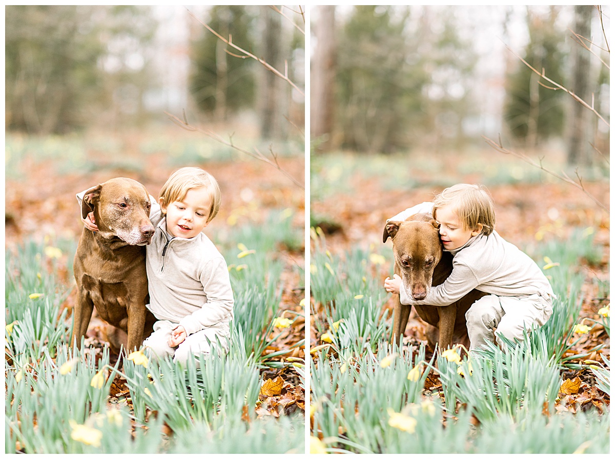 child with his dog in the daffodils in springtime